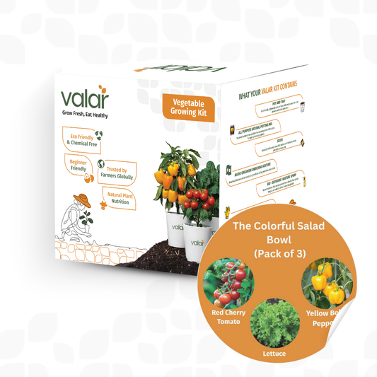 The Colorful Salad Bowl Kit | Grow 5 Colorful Veggies at Home! | Reusable Grow Bags + Organic Seeds + Fertilizers