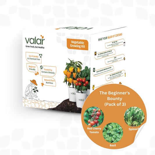 🌿 The Beginner's Bounty Kit | Organic, Non-GMO Seeds | Home Gardening Set for Fresh Salads & Curries 🥬🍅