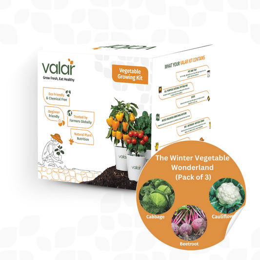 🌿 Winter Vegetable Wonderland Kit | Organic, Non-GMO Seeds | Grow Frost-Friendly Veggies! 🥬❄️