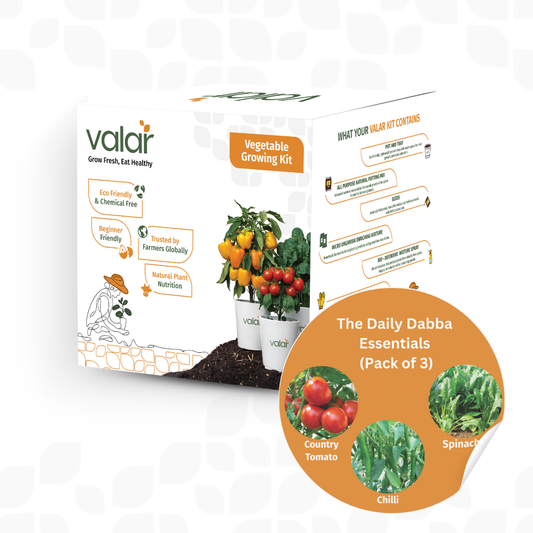 🌿  Daily Dabba Essentials Kit | Organic, Non-GMO Seeds | Grow Daily Cooking Staples at Home! 🍅🌶️