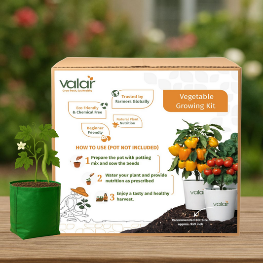 🌱  Valar Cucumber 🍃 | All-in-One Home Gardening Set 🌿 (Pack of 1 - Big) | Grow Bag  + Organic Seeds + Bio-Fertilizers