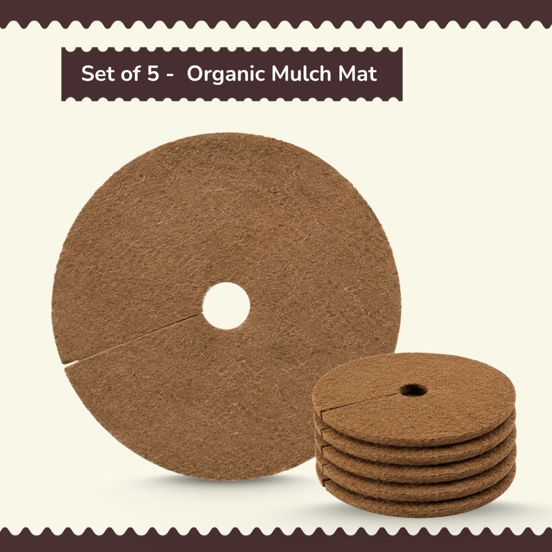 Set of 5 -  Organic Mulch Mat