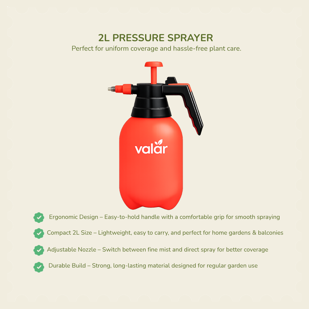 Pressure Spray Pump 2 Litre